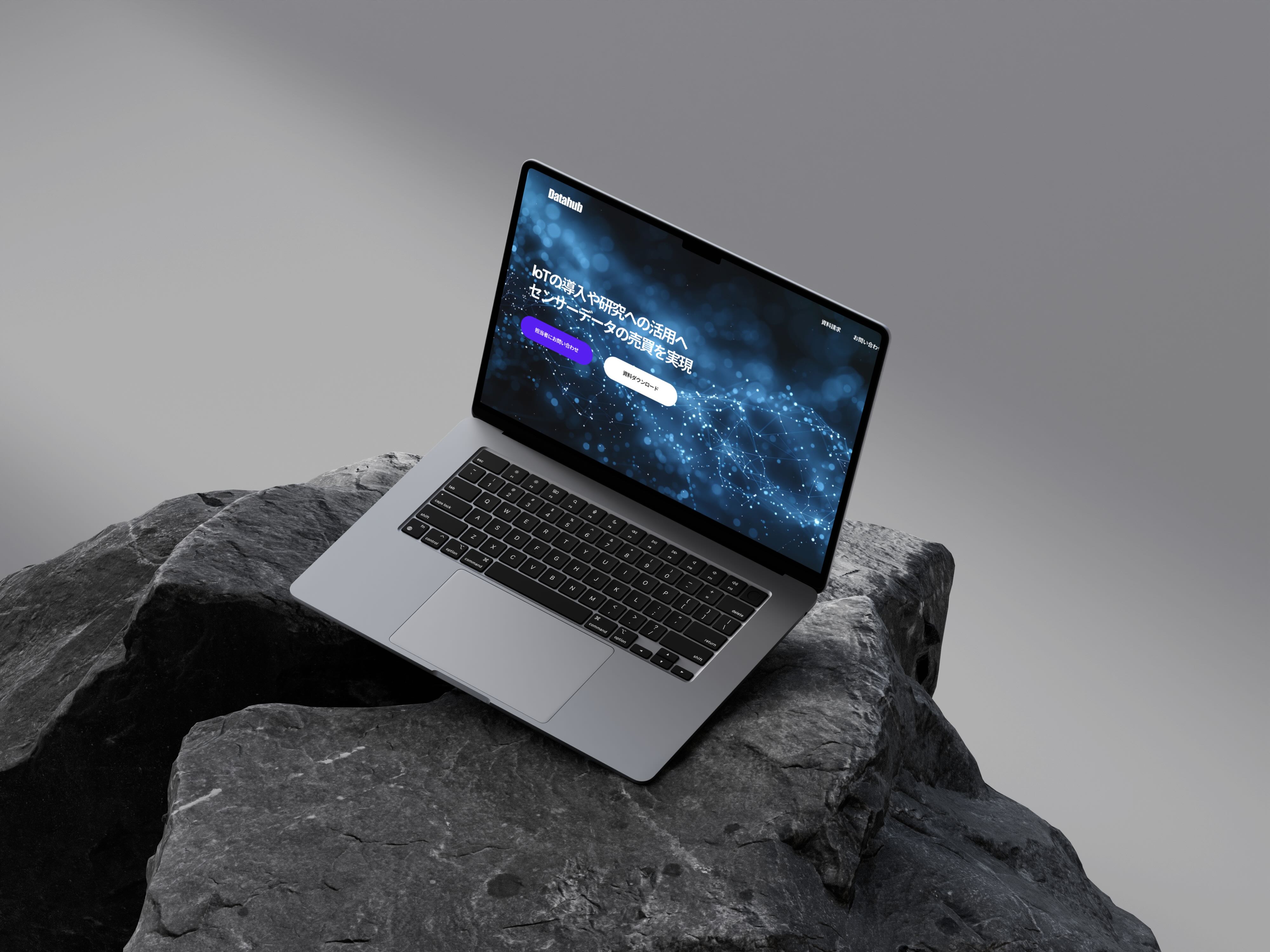 Datahub